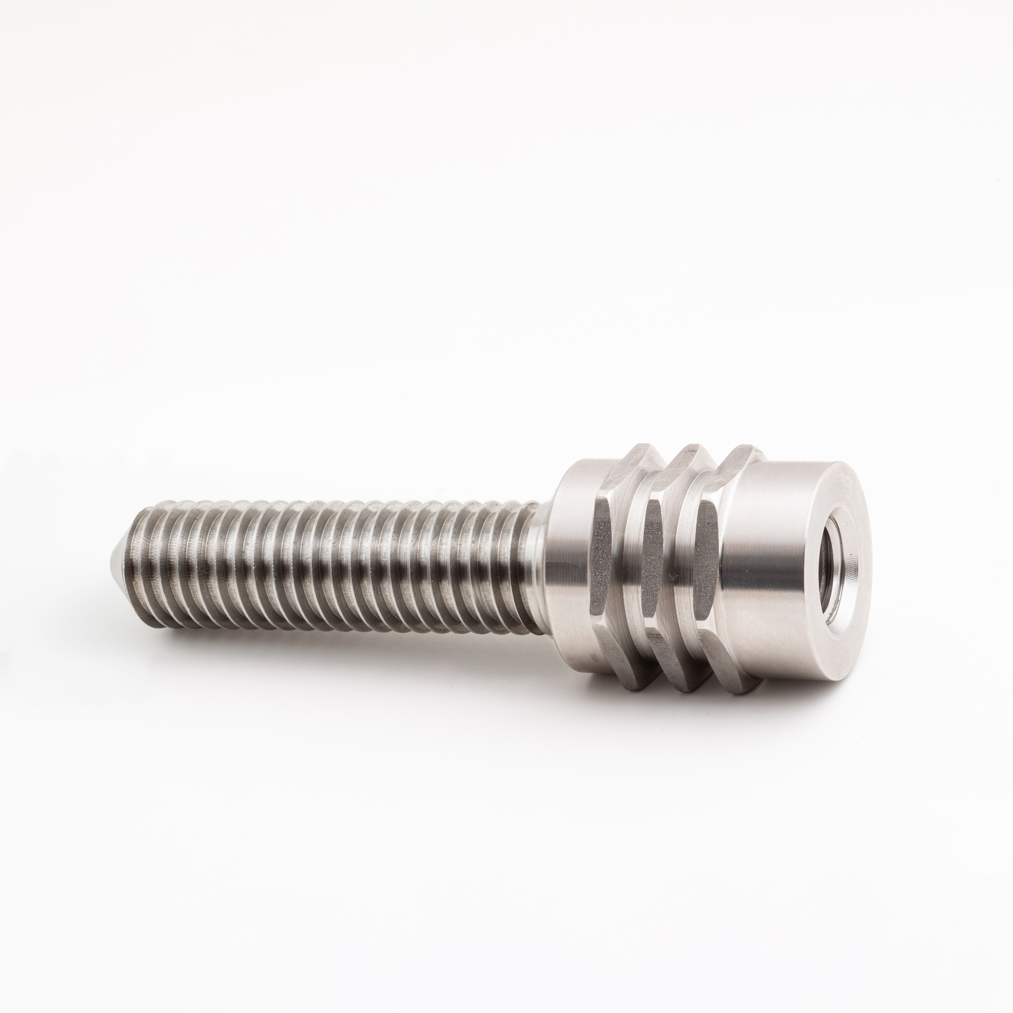 Multibolzen Laubholz