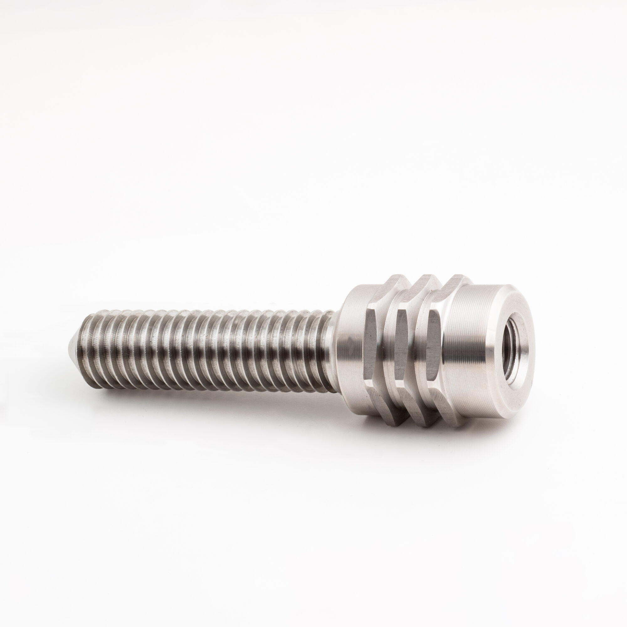 Multibolzen Laubholz